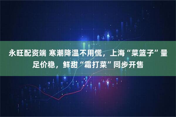 永旺配资端 寒潮降温不用慌，上海“菜篮子”量足价稳，鲜甜“霜打菜”同步开售