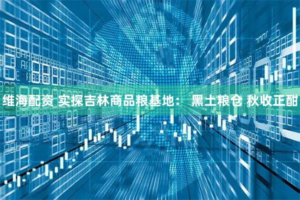 维海配资 实探吉林商品粮基地： 黑土粮仓 秋收正酣