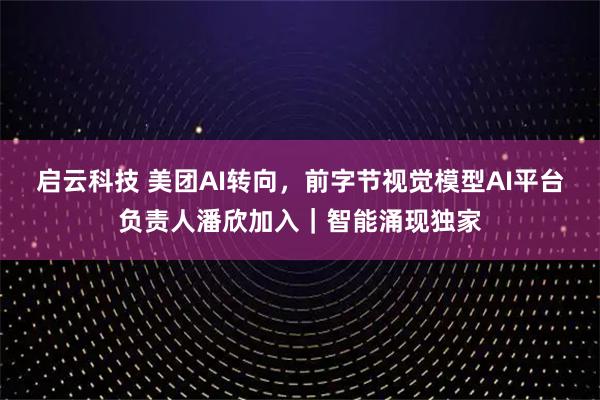 启云科技 美团AI转向，前字节视觉模型AI平台负责人潘欣加入｜智能涌现独家