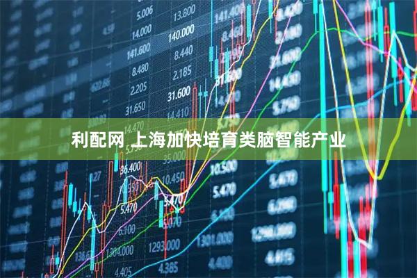 利配网 上海加快培育类脑智能产业